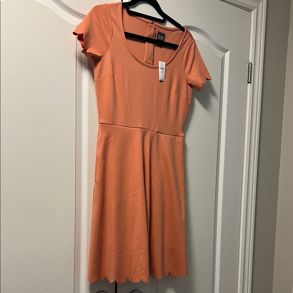 GAP Pink Flutter Sleeve A-Line Mini Dress